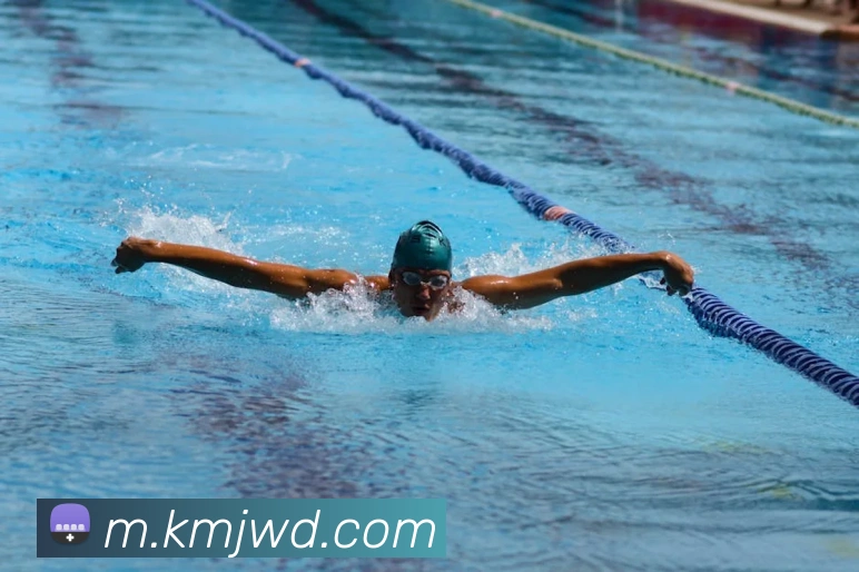 多媒体互动体验